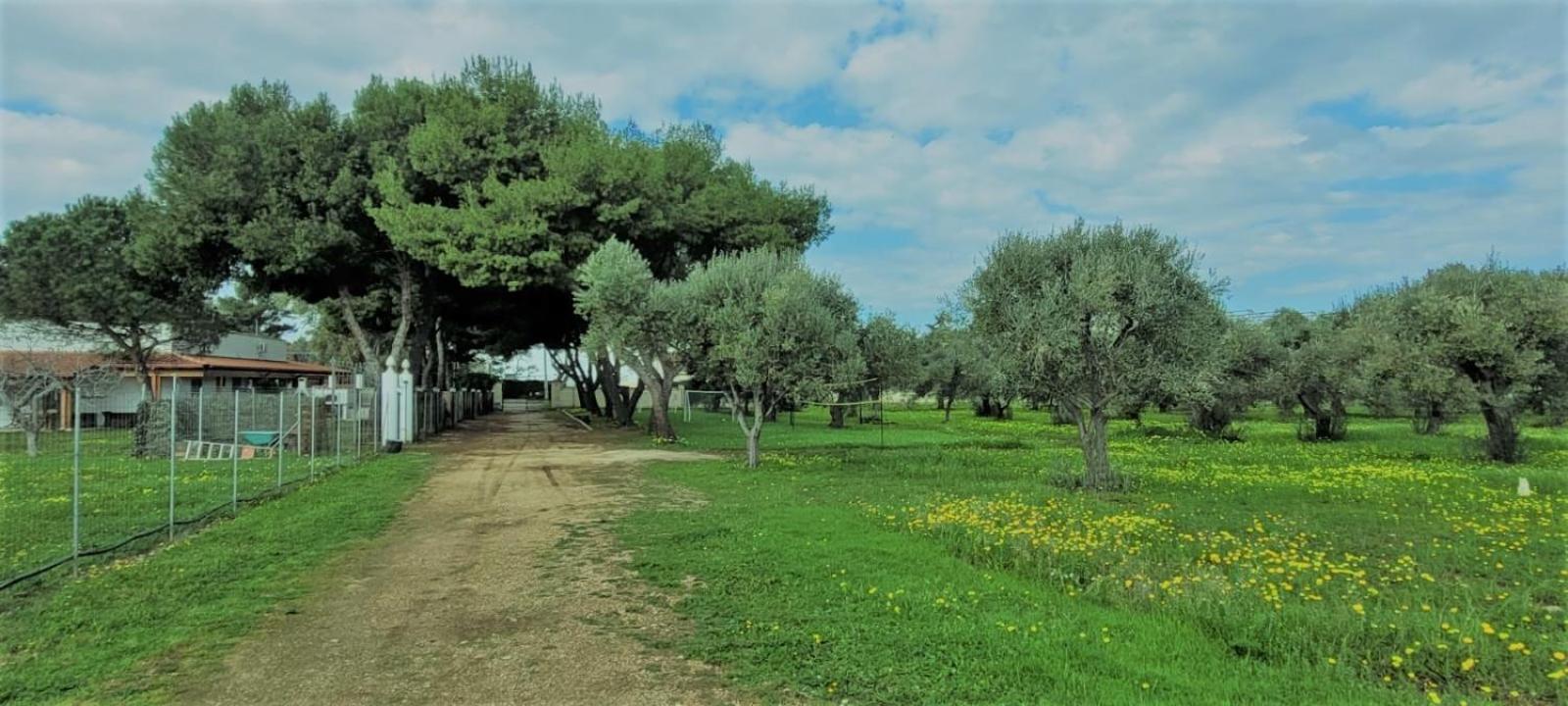 Villa Laura บารี ภายนอก รูปภาพ