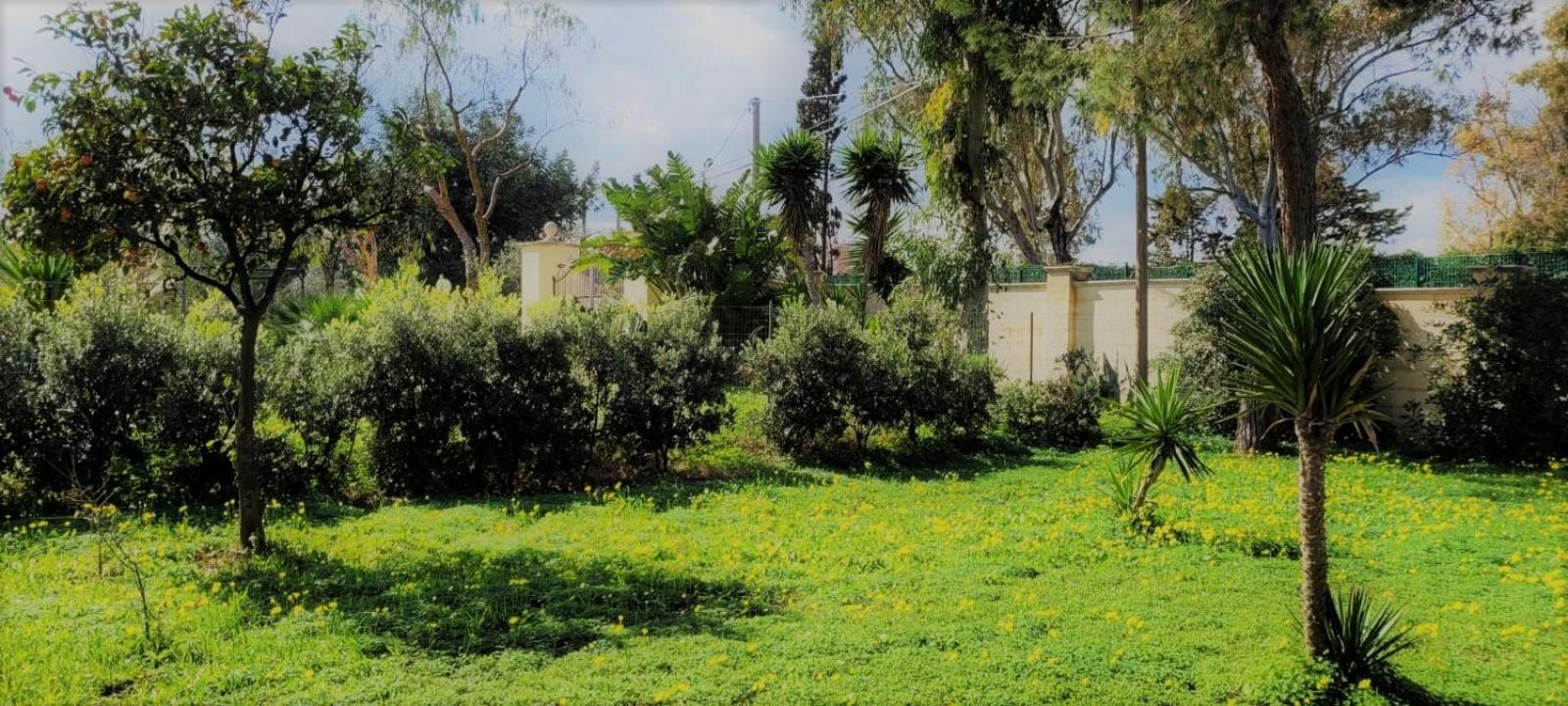Villa Laura บารี ภายนอก รูปภาพ