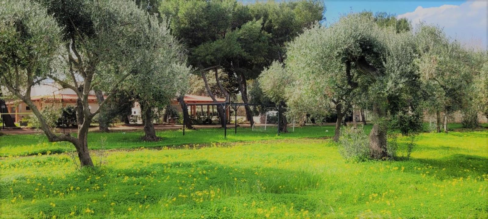 Villa Laura บารี ภายนอก รูปภาพ